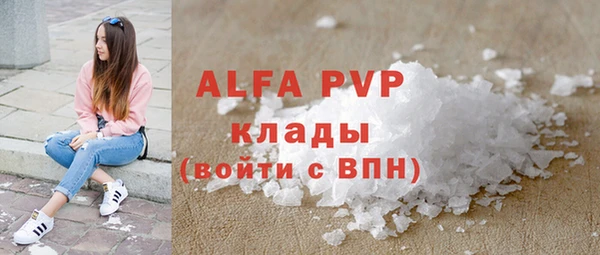 apvp Верея